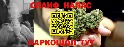 a pvp Новодвинск