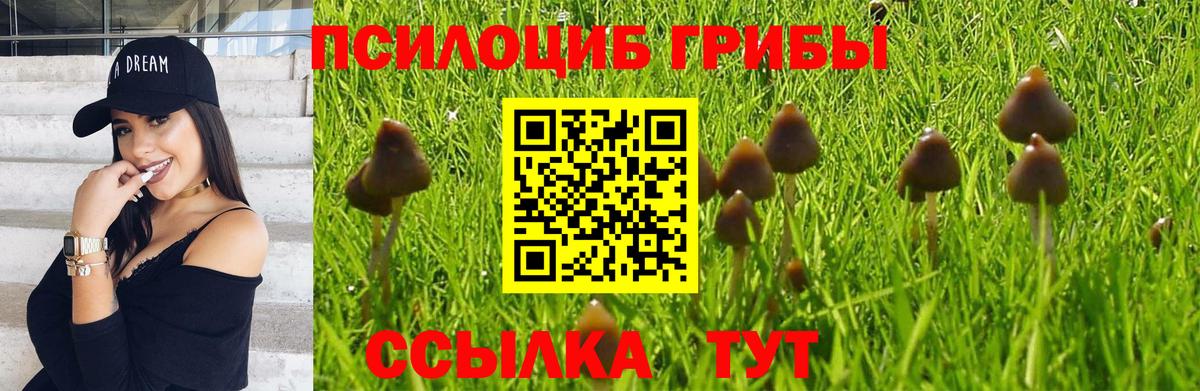 Псилоцибиновые грибы мухоморы Советск