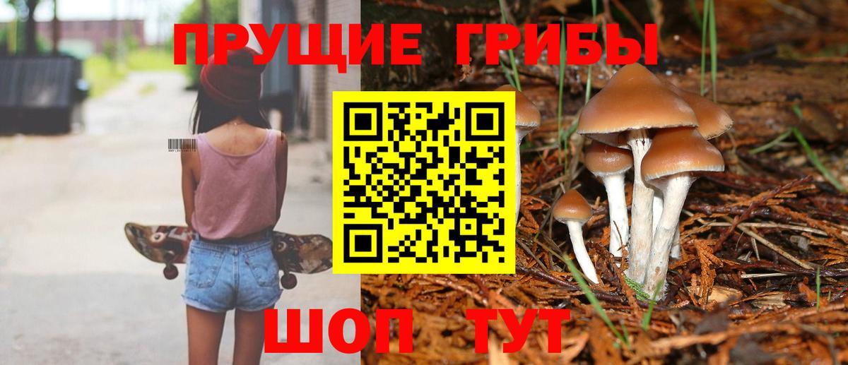 Советск  Псилоцибиновые грибы ЛСД  Вход с VPN 